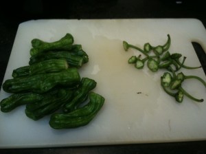 seyal and shishito and oat pancakes 043