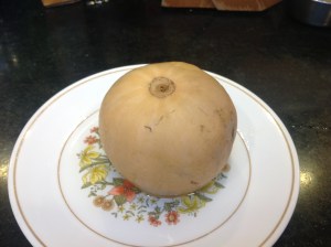 butternut squash soup 001