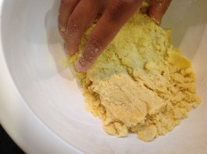 ravioli goan masala 008