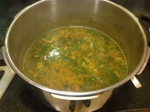 toor dal and karela 021