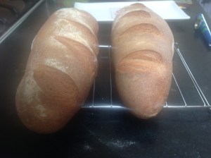 whole wheat artisanal loaf 046