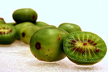 kiwi berry
