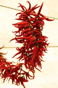 Chili pods drying