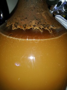 Floc of yeast