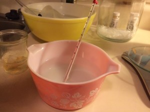 Washington DC trip 229