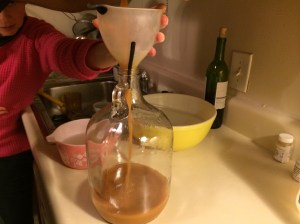 Washington DC trip 238