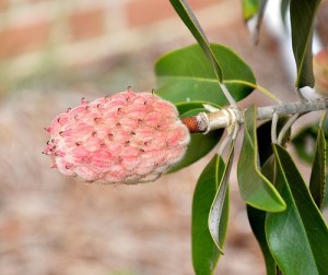 55e24851fb31b1288a045c9a474d983d