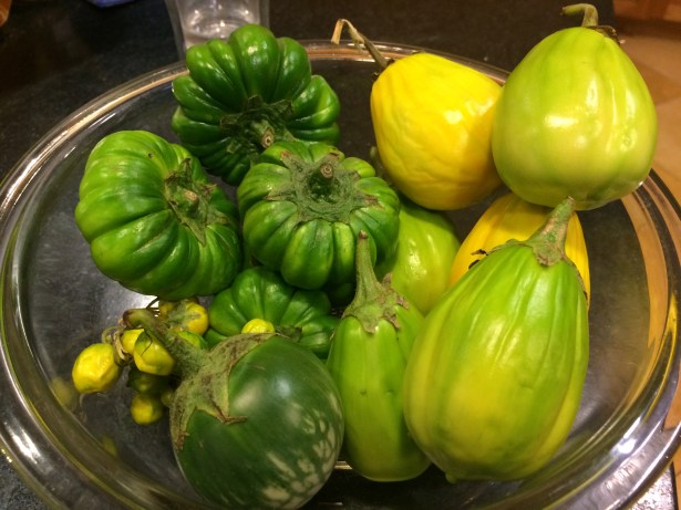 Yes, these are eggplants too. A farmer's market haul