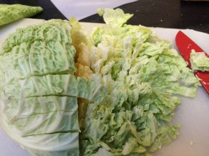 cabbage 003